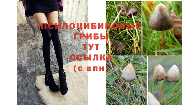 ГАЛЛЮЦИНОГЕННЫЕ ГРИБЫ Балабаново
