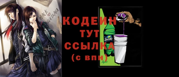 шишки Балахна