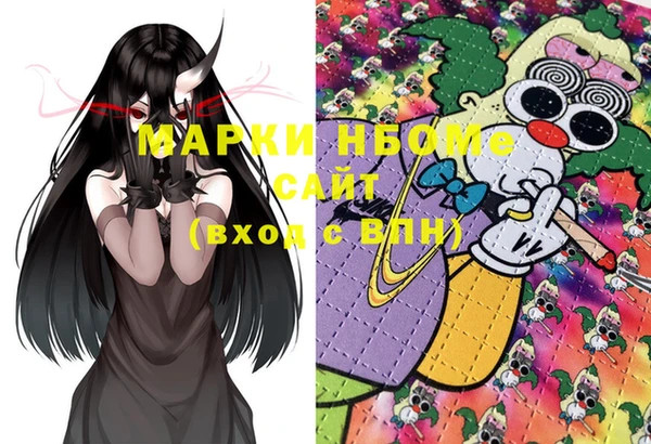 шишки Балахна