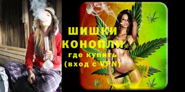 ГАЛЛЮЦИНОГЕННЫЕ ГРИБЫ Балабаново