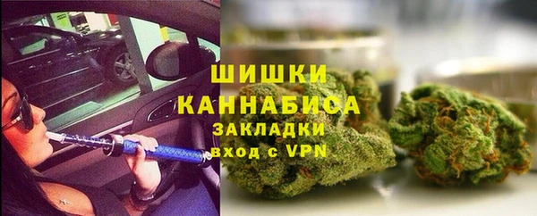 ГАЛЛЮЦИНОГЕННЫЕ ГРИБЫ Балабаново