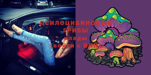 ГАЛЛЮЦИНОГЕННЫЕ ГРИБЫ Балабаново