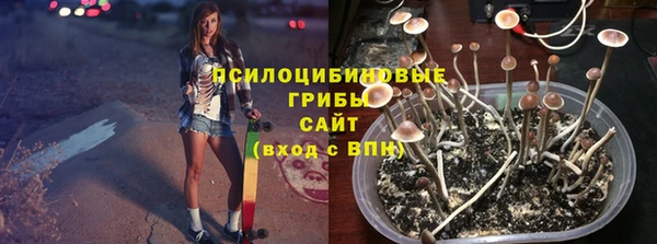 ГАЛЛЮЦИНОГЕННЫЕ ГРИБЫ Балабаново